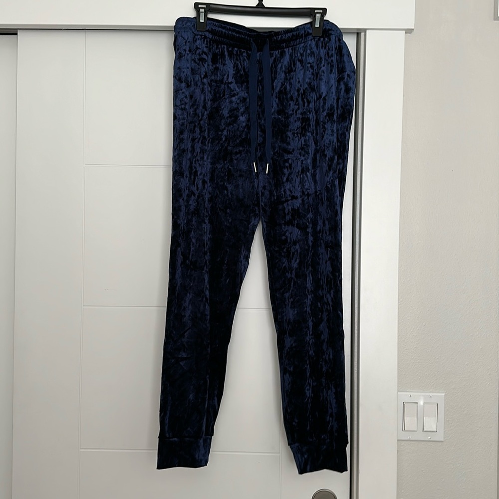 ALFANI Velour Track Bottoms (NWOT)
